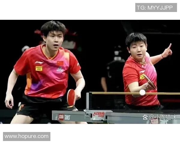 北京乒乓球队阵地战解析：从战术布局到选手表现的全面解读